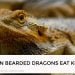 Can Bearded Dragons Eat Kiwi