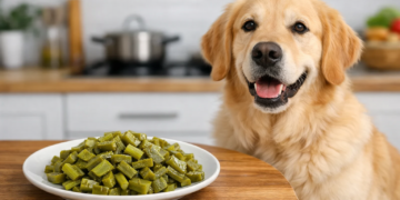 Can Dogs Eat Cooked Nopales