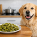 Can Dogs Eat Cooked Nopales