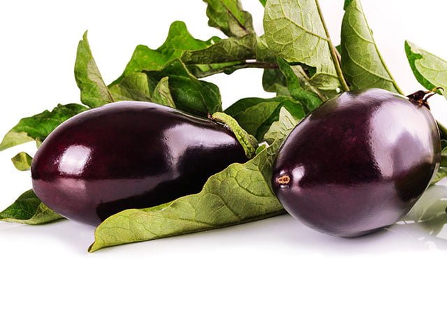 Cats Eat Eggplant