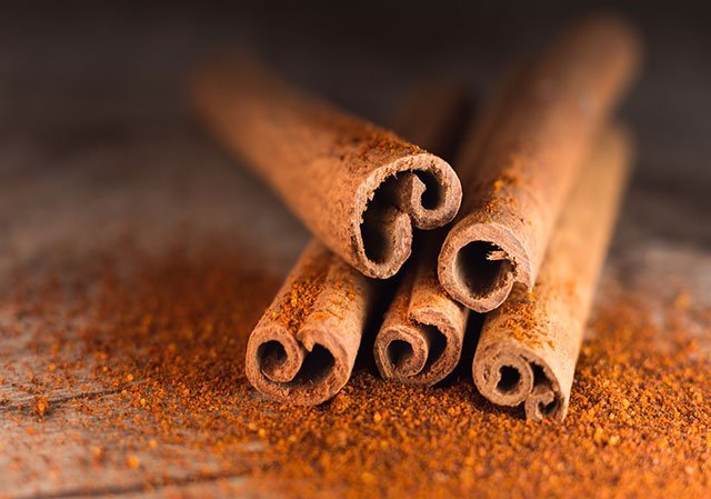 Rabbits Eat Cinnamon