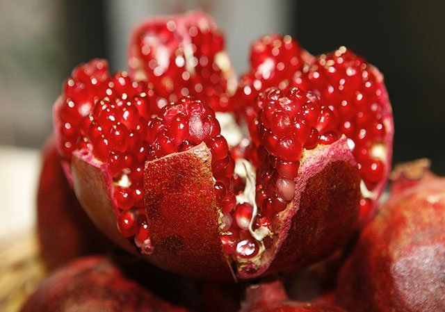 Rabbits Eat Pomegranate
