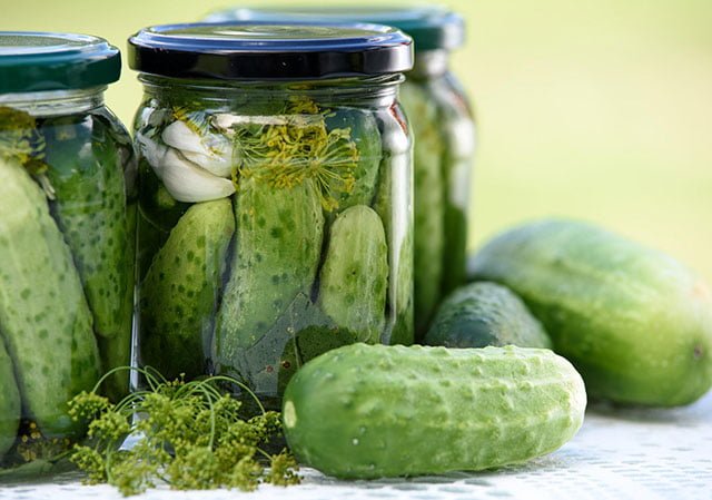 Top 20+ can chickens eat pickles 5 Can Guinea Pigs Eat Pickles