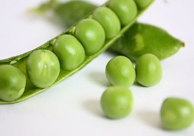 Can Hamsters Eat Peas
