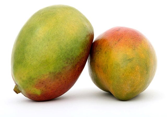 Can a Bearded Dragon Eat Mango