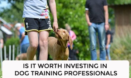 Is It Worth Investing In Dog Training Professionals?