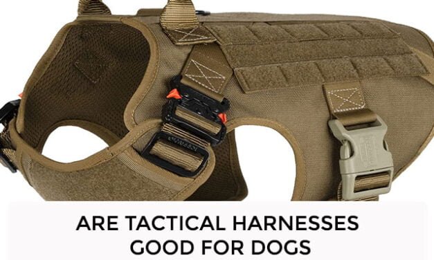 are tactical harnesses good for dogs