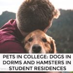 Pets In College: Dogs In Dorms And Hamsters In Student Residences