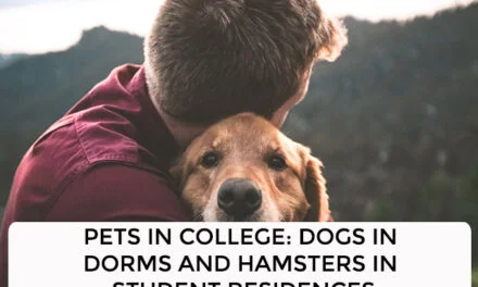 Pets In College: Dogs In Dorms And Hamsters In Student Residences
