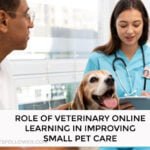 Role of Veterinary Online Learning in Improving Small Pet Care