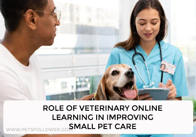 Role of Veterinary Online Learning in Improving Small Pet Care