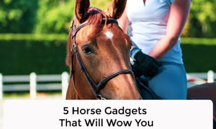 5 Horse Gadgets That Will Wow You