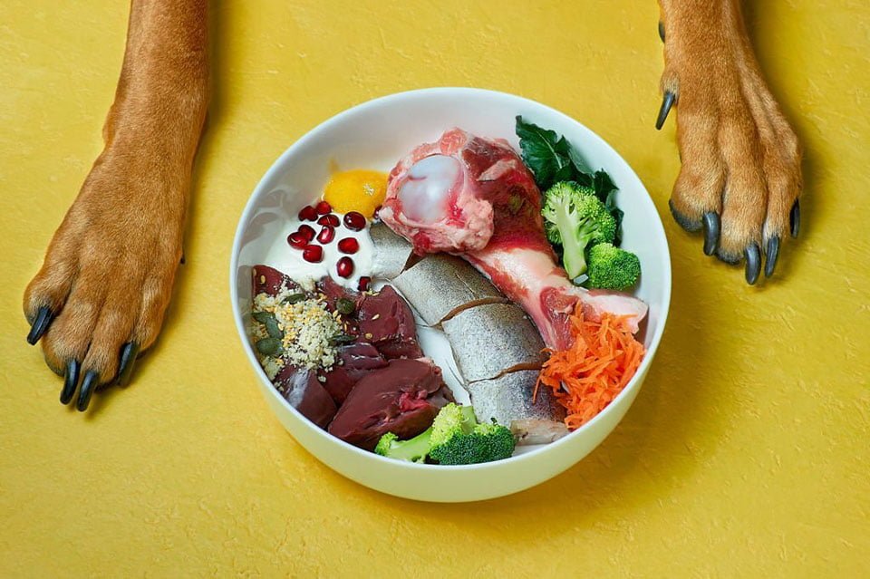Benefits of Natural Supplements for Dogs