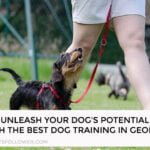 Dog Training in Georgia