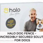 Halo Dog Fence