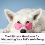 Pet's Well-Being