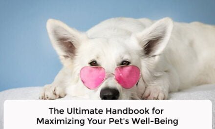 The Ultimate Handbook for Maximizing Your Pet’s Well-Being