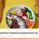 Natural Supplements for Dogs