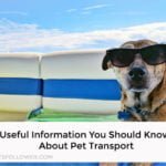 Pet Transport