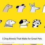 5 Dog Breeds That Make for Great Pets
