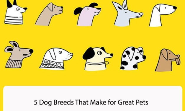 5 Dog Breeds That Make for Great Pets