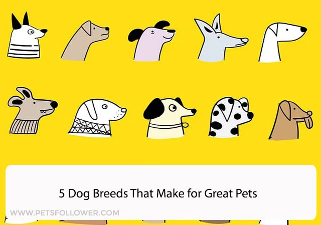 5 Dog Breeds That Make for Great Pets