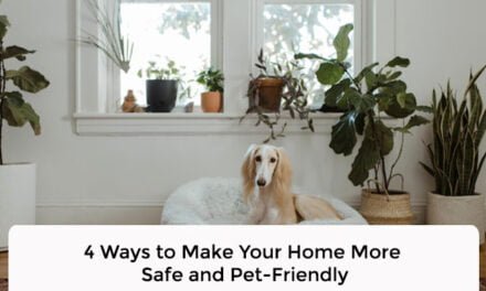 4 Ways to Make Your Home More Safe and Pet-Friendly