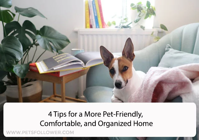 Pet-Friendly, Comfortable, and Organized Home