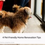 4 Pet-Friendly Home Renovation Tips