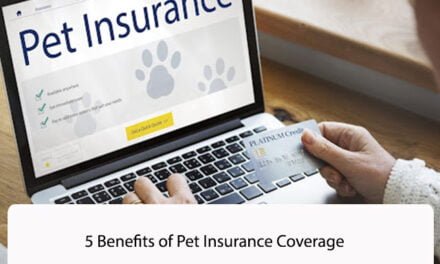 5 Benefits of Pet Insurance Coverage