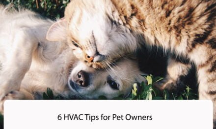 6 HVAC Tips for Pet Owners