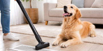 HVAC Tips for Pet Owners