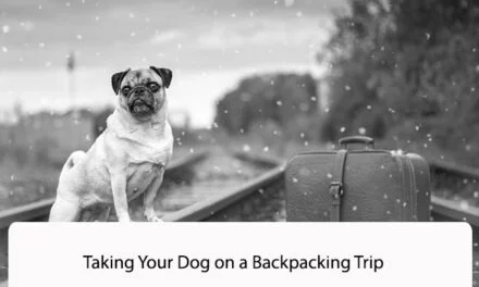 Taking Your Dog on a Backpacking Trip: What You Need to Know