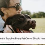 6 Essential Supplies Every Pet Owner Should Invest In