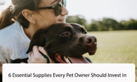 Why Quality Matters: 6 Essential Supplies Every Pet Owner Should Invest In