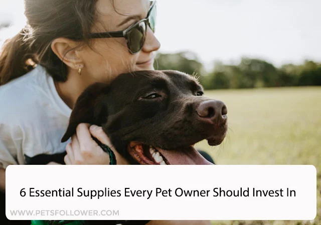 6 Essential Supplies Every Pet Owner Should Invest In