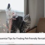 Essential Tips for Finding Pet-Friendly Rentals