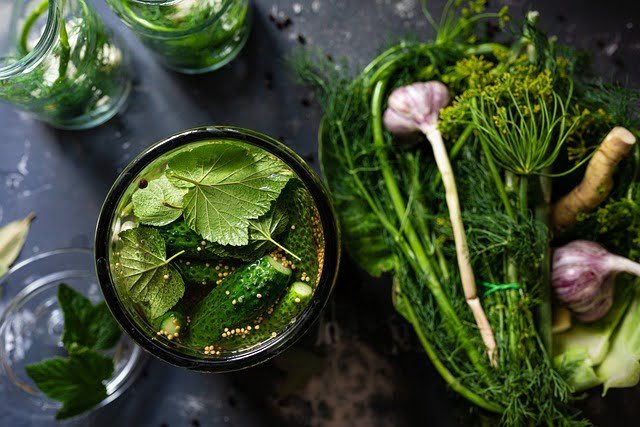 Can Chickens Eat Dill Pickles