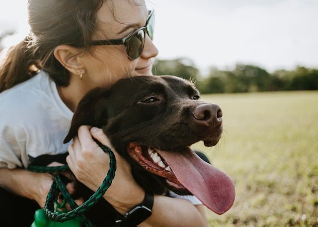Essential Tips for Finding Pet-Friendly Rentals