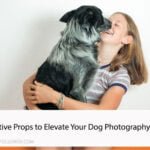7 Creative Props to Elevate Your Dog Photography Game