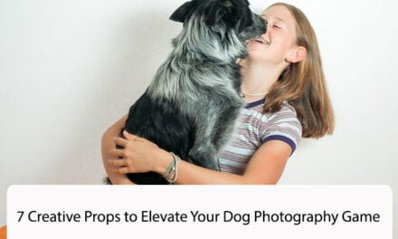 7 Creative Props to Elevate Your Dog Photography Game