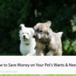 How to Save Money on Your Pet's Wants & Needs