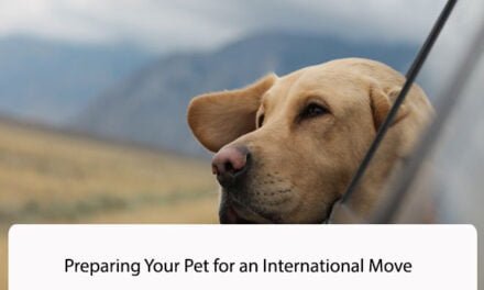 Preparing Your Pet for an International Move: 8 Tips