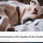 Understanding a Pet's Quality of Life Checklist