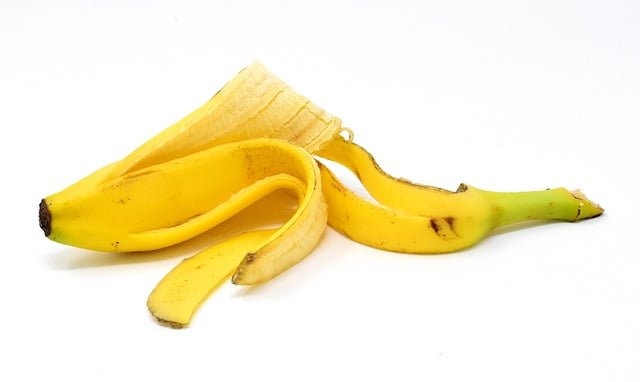 Can Rats Eat Banana Peels