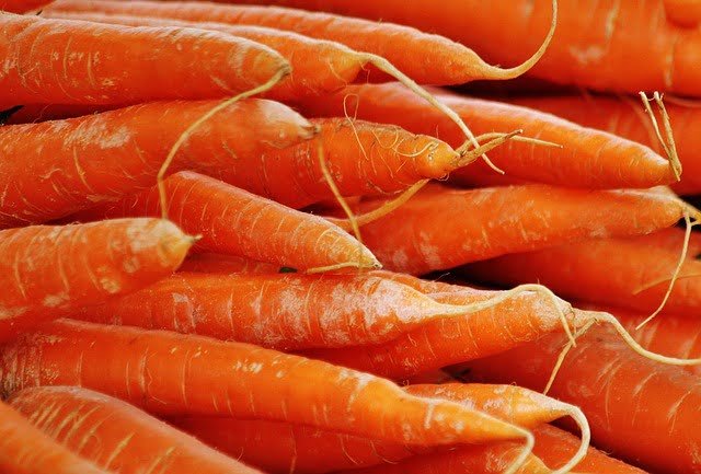 Can Sulcata Tortoises Eat Carrots