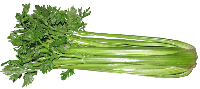 Can Ducks Eat Celery