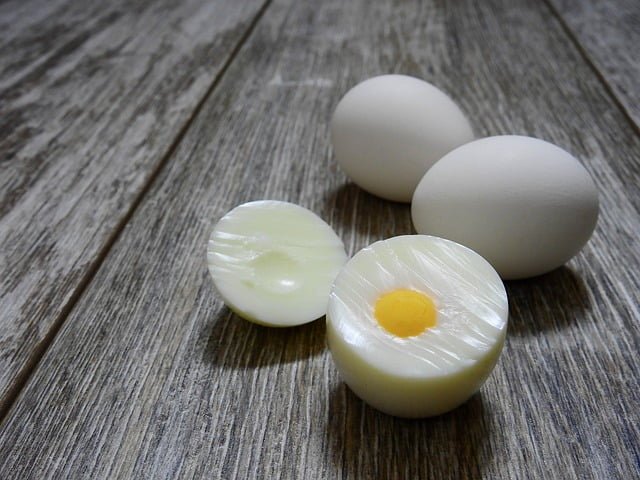 Can Rats Eat Hard Boiled Eggs