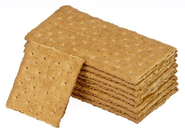 Can Chickens Eat Graham Crackers