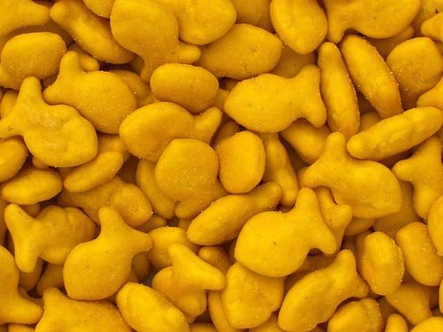 Can Chickens Eat Goldfish Crackers